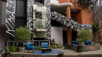 Swan Novo Hamburgo