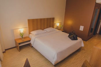 Swan Novo Hamburgo