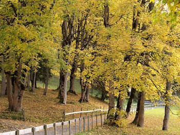 Beausite Park Hotel & Spa
