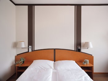Muhlenhotel Halle Leipzig fotoğrafı