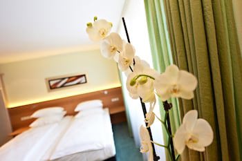 Hirsch Hotel galeri fotoğrafı