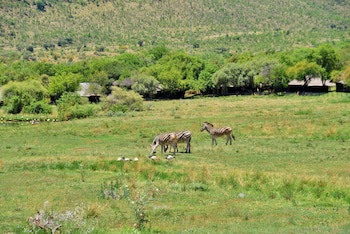 Bakubung Bush Lodge