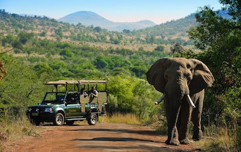 Bakubung Bush Lodge
