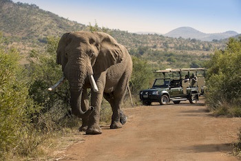 Bakubung Bush Lodge