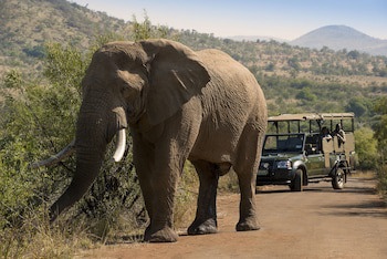 Bakubung Bush Lodge