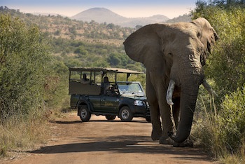 Bakubung Bush Lodge