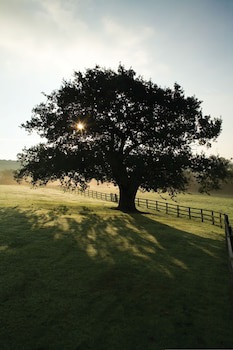 Wood Hall Hotel And Spa