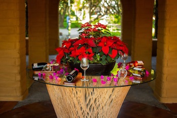 Mision Del Sol Resort And Spa - Adults Only