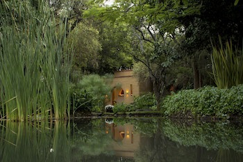 Mision Del Sol Resort And Spa - Adults Only