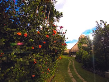 Kariwak Village Holistic Haven And Hotel