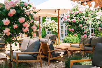 Chewton Glen Hotel & Spa - An Iconic Luxury Hotel