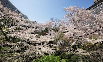 Grand Prince Hotel Takanawa