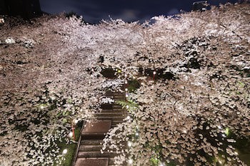 Grand Prince Hotel Takanawa
