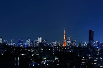 Grand Prince Hotel Takanawa