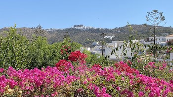 Skala Hotel fotoğrafı