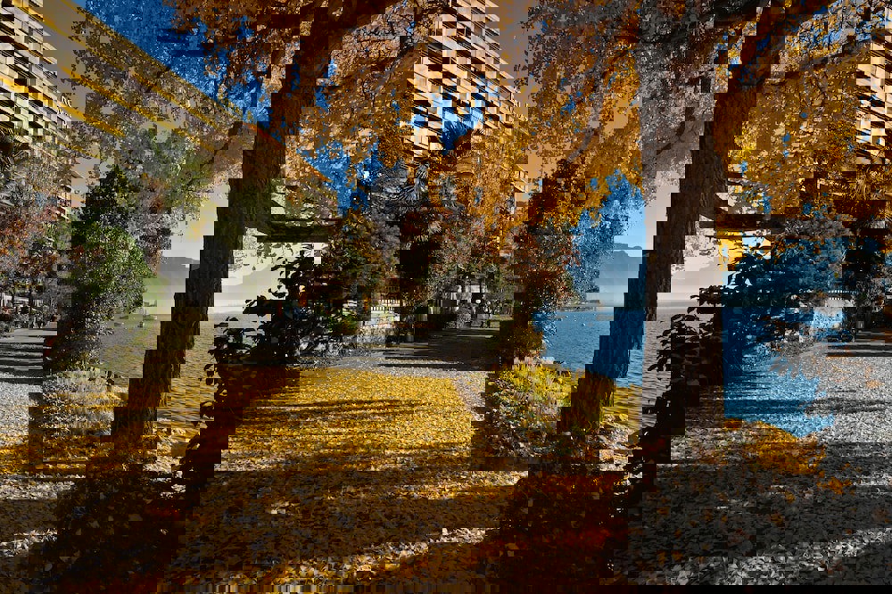 Royal Plaza Montreux