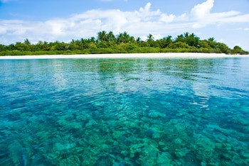 Coco Palm Dhuni Kolhu