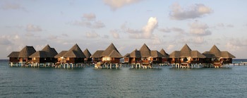 Coco Palm Dhuni Kolhu