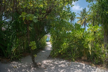 Coco Palm Dhuni Kolhu