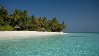 Coco Palm Dhuni Kolhu