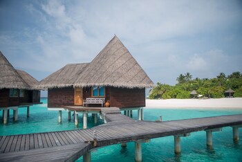 Coco Palm Dhuni Kolhu