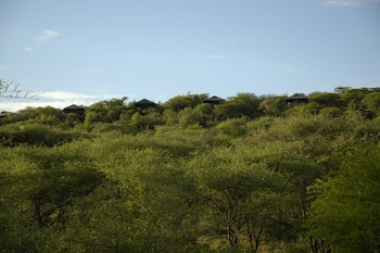 Kirawira Serena Camp