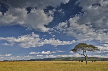 Kirawira Serena Camp