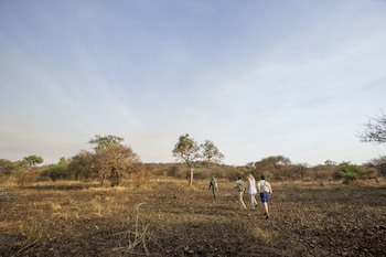 Kirawira Serena Camp