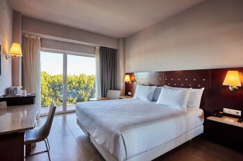 Hotel Silken Turcosa