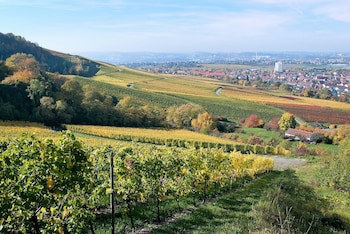 Best Western Plus Hotel Fellbach-Stuttgart fotoğrafı