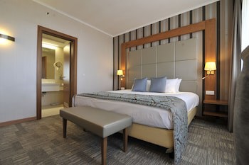 Holiday Inn Skopje, An Ihg Hotel