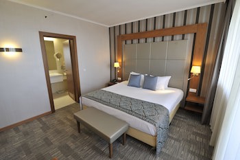 Holiday Inn Skopje, An Ihg Hotel