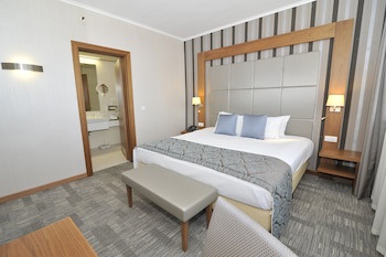 Holiday Inn Skopje, An Ihg Hotel