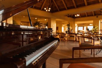 Elephant Hills Resort