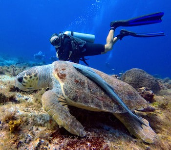 Casa Del Mar Cozumel Hotel & Dive Resort