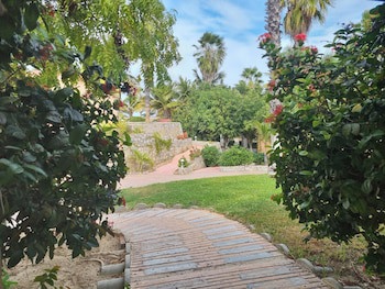 Buena Vista Oceanfront & Hot Springs Resort