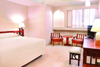 Hotel Fortin Plaza