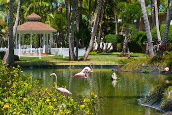 Catalonia Punta Cana - All Inclusive