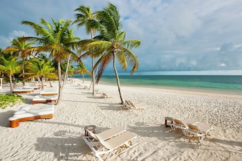 Catalonia Punta Cana - All Inclusive