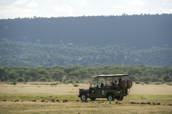 Lake Manyara Serena Safari