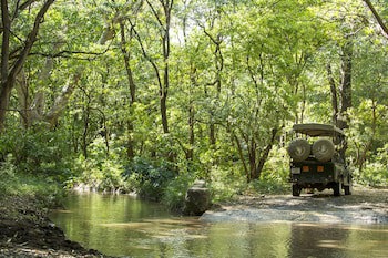 Lake Manyara Serena Safari
