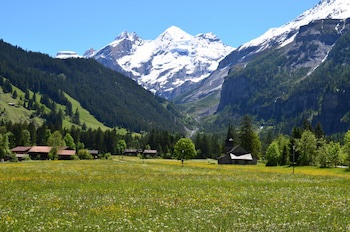 Bernerhof Swiss Quality Hotel