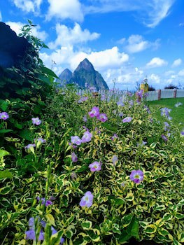 La Haut Resort