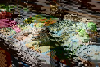 Prestige Hotel Old City