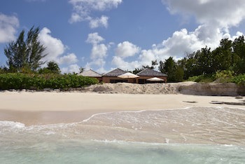 Como Parrot Cay