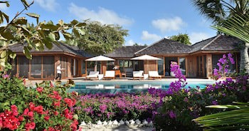 Como Parrot Cay