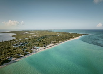 Como Parrot Cay