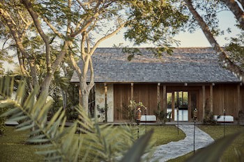 Como Parrot Cay