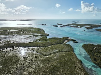 Como Parrot Cay