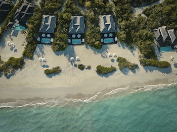 Como Parrot Cay